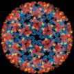 Voss et al. Nature (2010) 468, 709 (via Synchrotron Soleil, France)