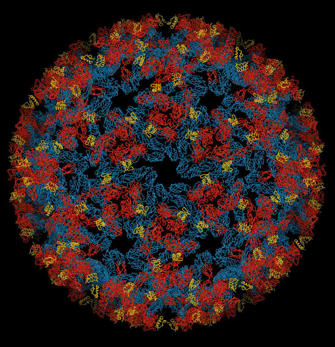 chikungunya-virus.jpg